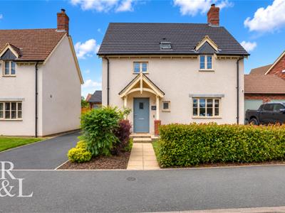 Picture 25